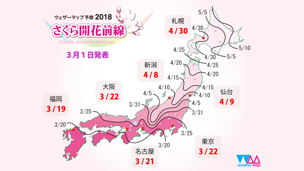 桜開花前線画像